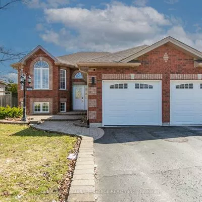 55, MARSELLUS, Holly, Barrie