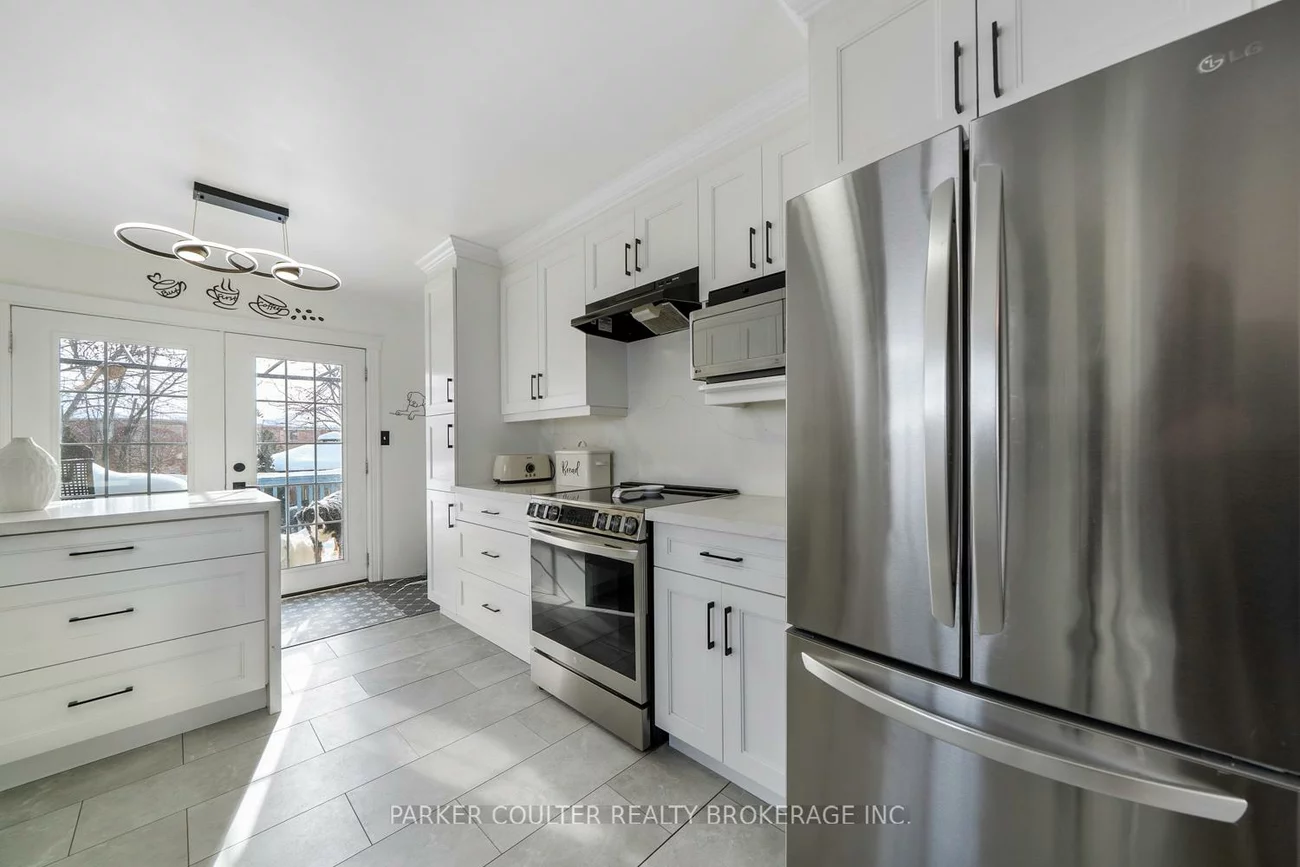 92, Snowy Owl, Little Lake, Barrie