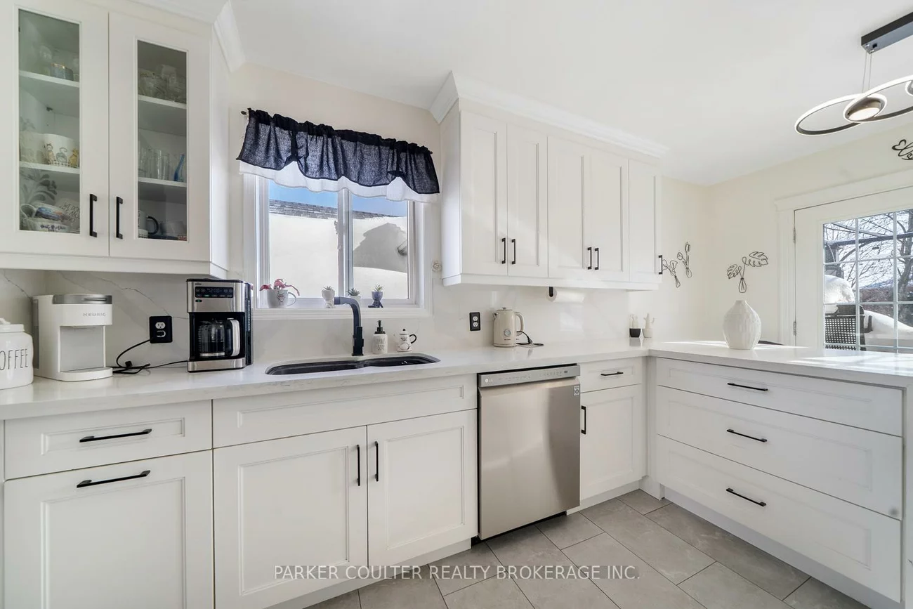 92, Snowy Owl, Little Lake, Barrie