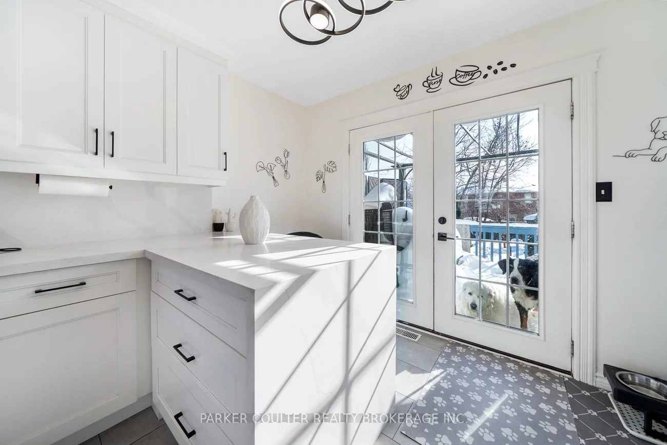 92, Snowy Owl, Little Lake, Barrie