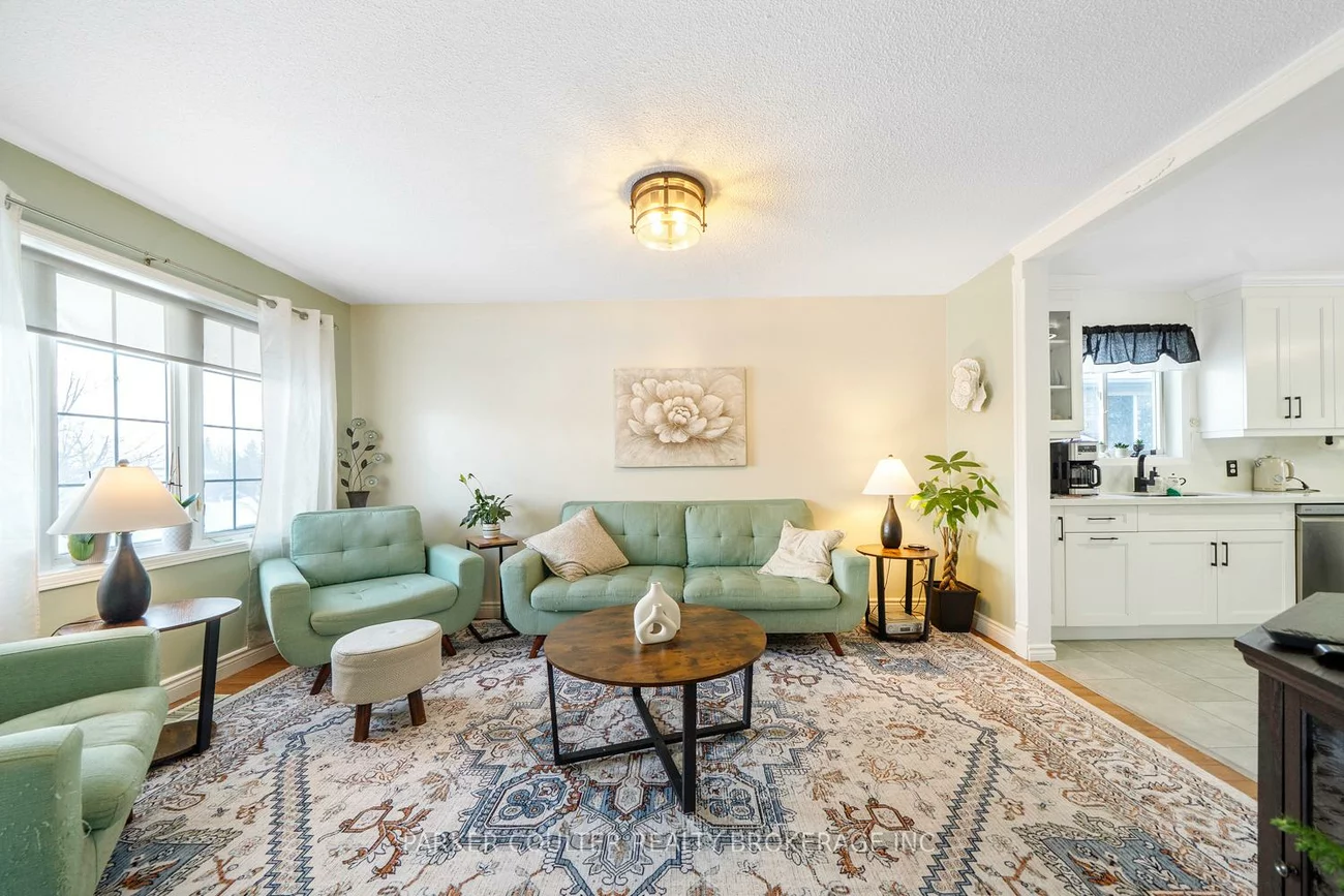 92, Snowy Owl, Little Lake, Barrie