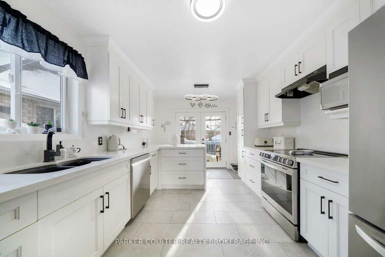 92, Snowy Owl, Little Lake, Barrie