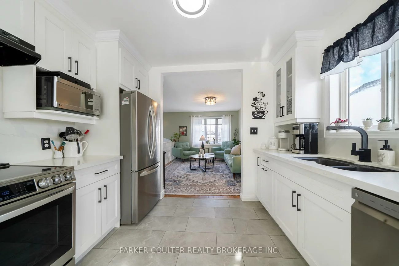 92, Snowy Owl, Little Lake, Barrie