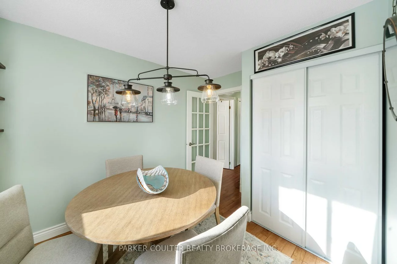 92, Snowy Owl, Little Lake, Barrie