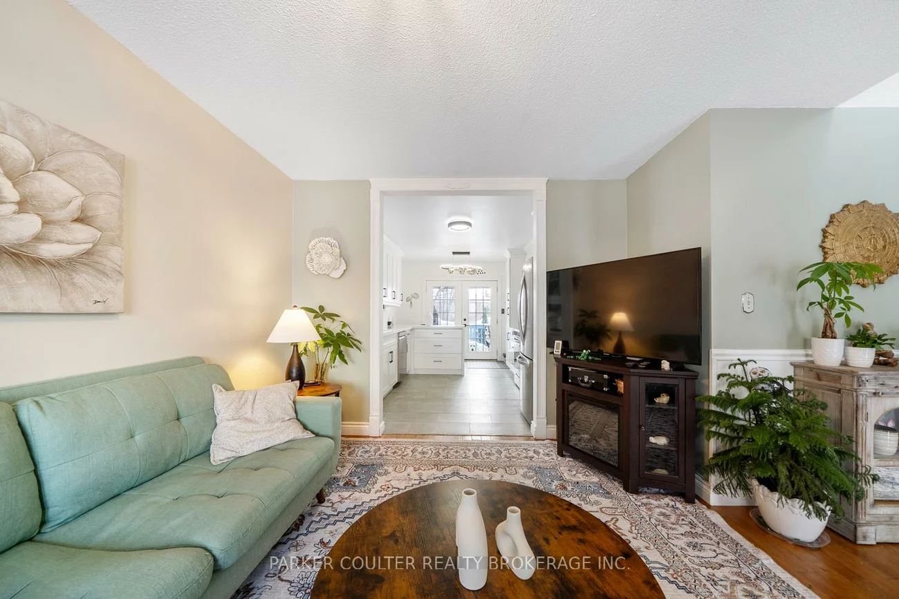 92, Snowy Owl, Little Lake, Barrie