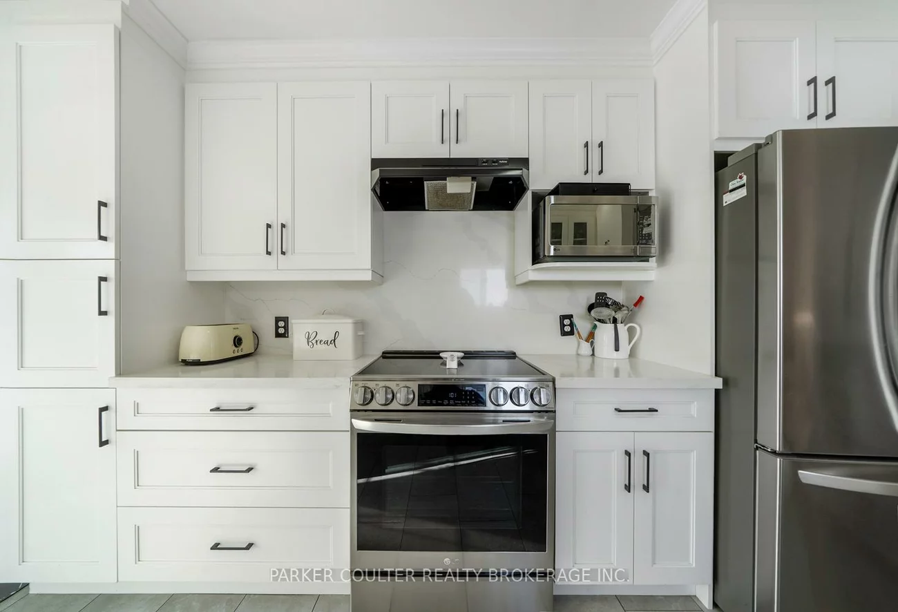 92, Snowy Owl, Little Lake, Barrie