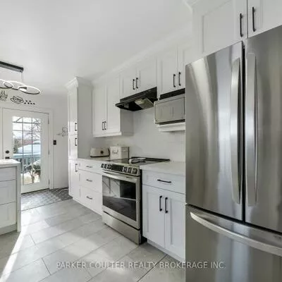 92, Snowy Owl, Little Lake, Barrie