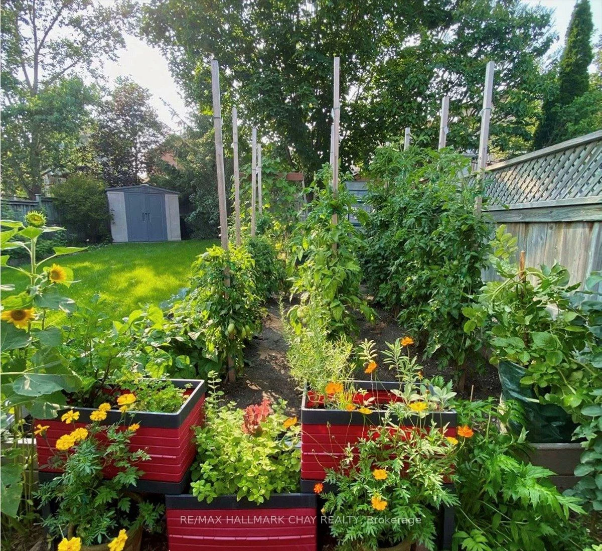 13, TEAL, Painswick South, Barrie