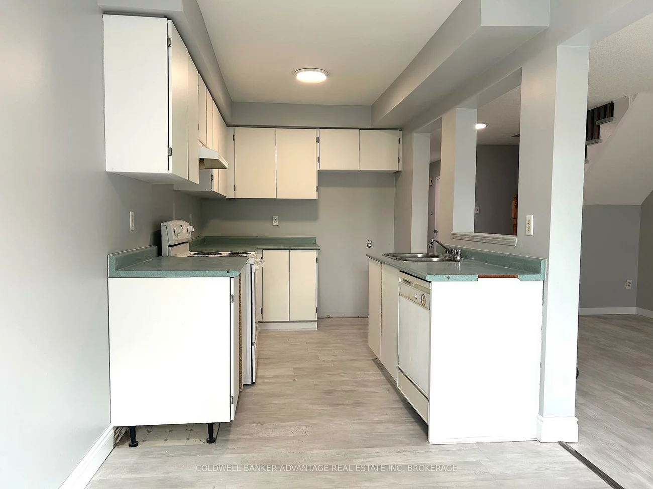 16, Cunningham, Ardagh, Barrie