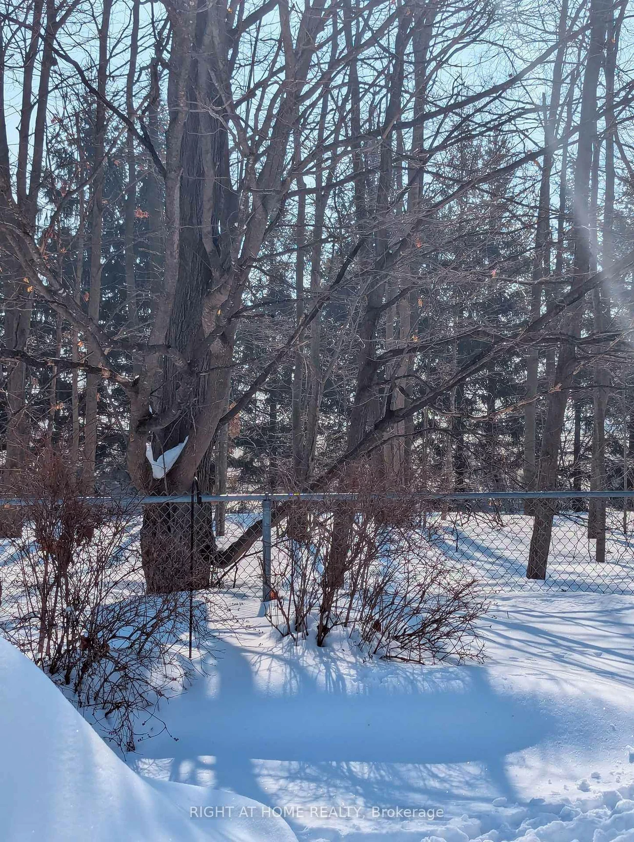 63, Benson, Sandy Hollow, Barrie