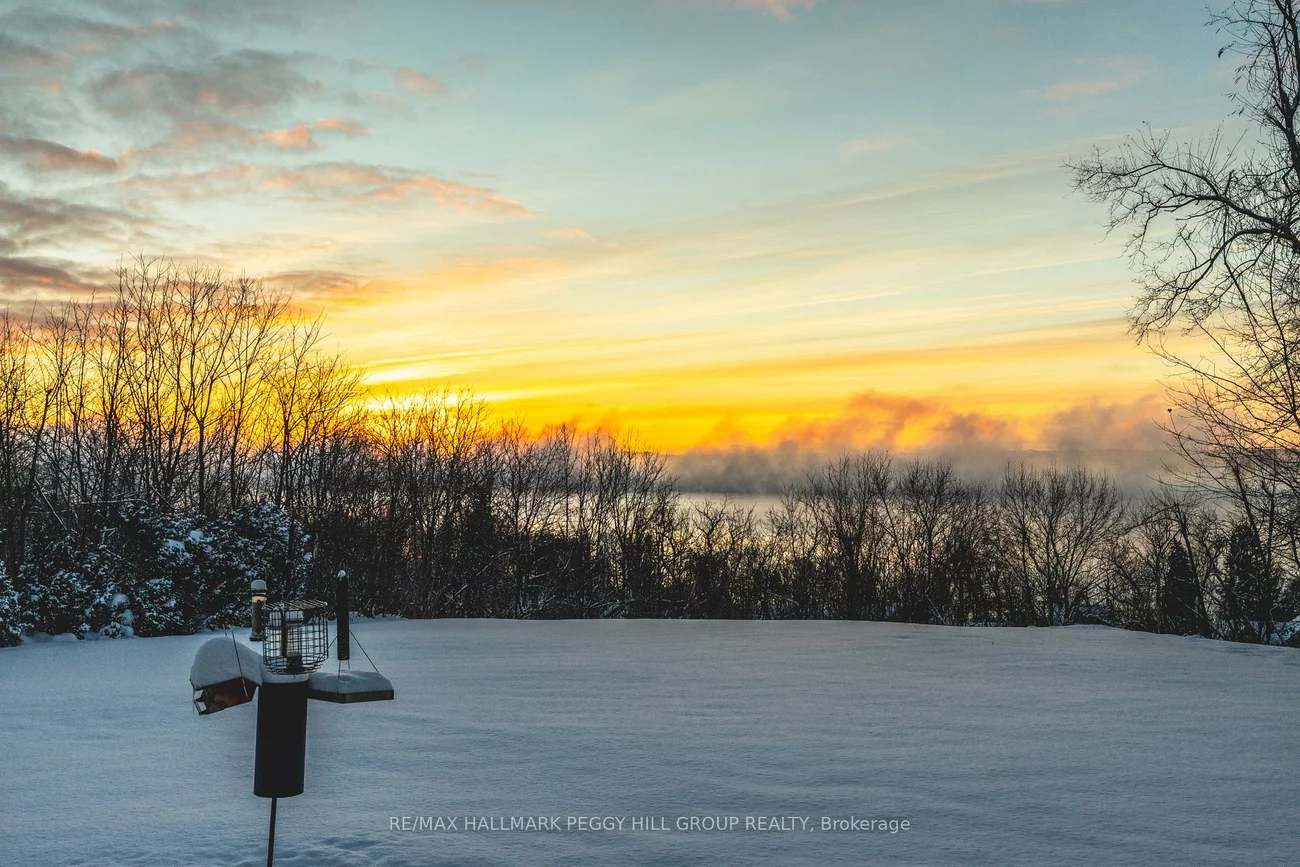 150, Collingwood, Codrington, Barrie