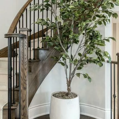 20, WESTMINSTER, Innis-Shore, Barrie