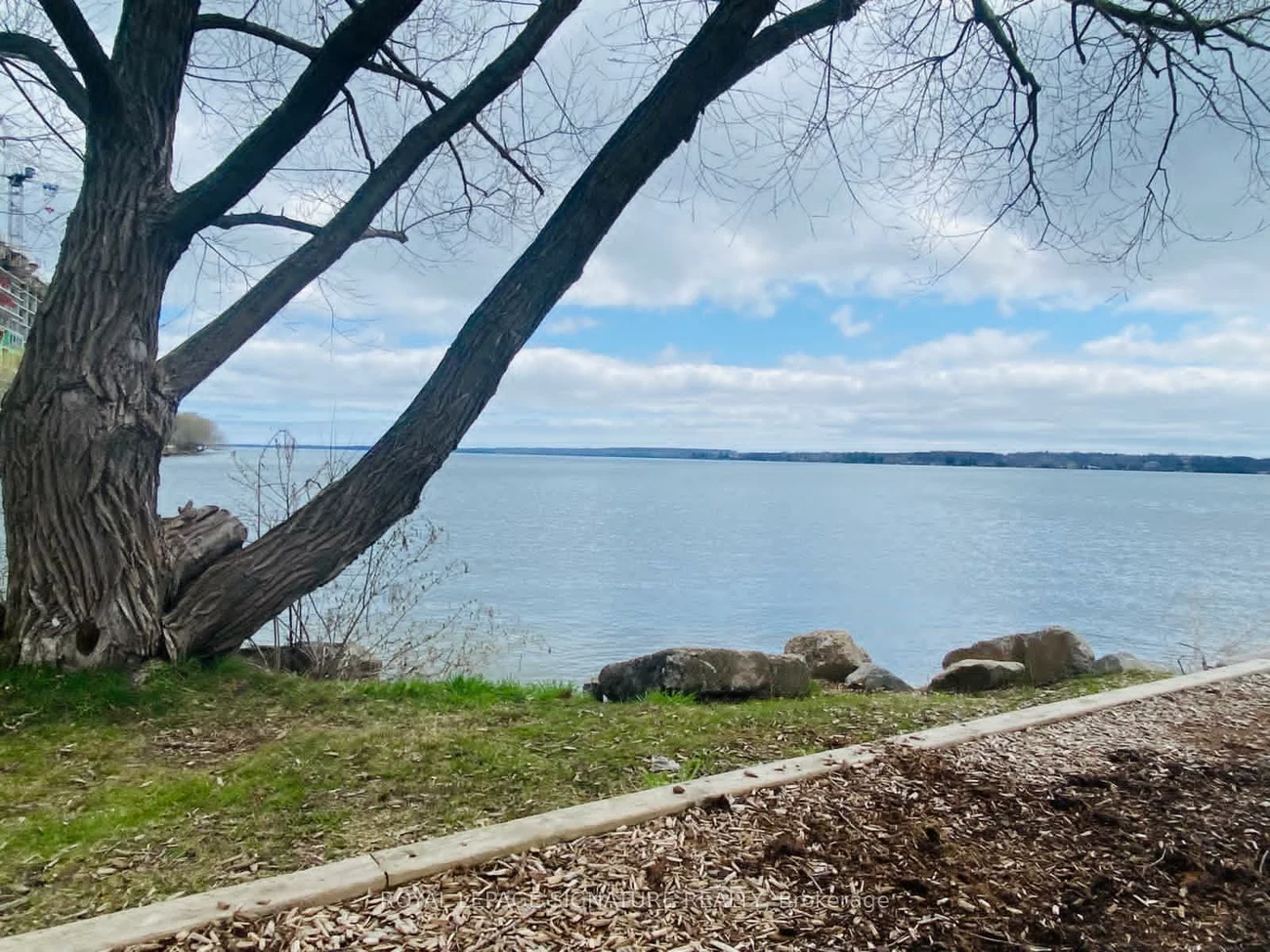 59, Penetang, Codrington, Barrie