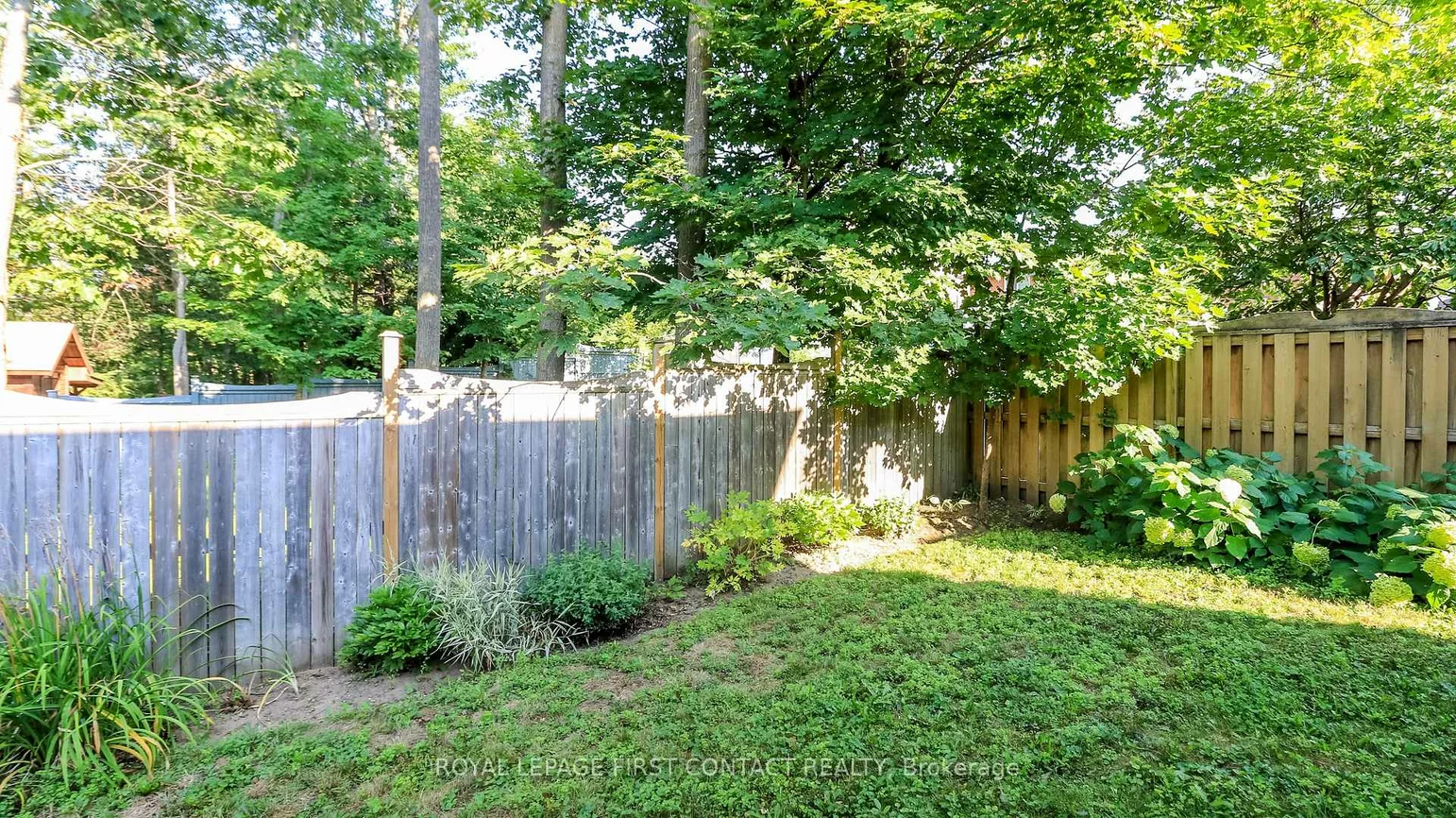 79, White Elm, Holly, Barrie