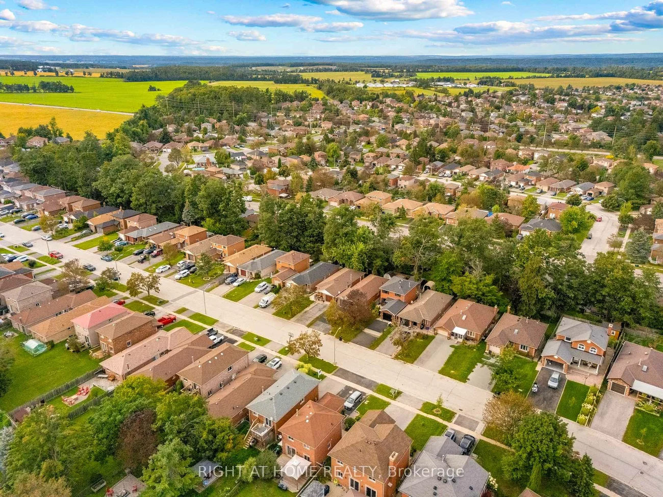 44, Ferguson, Northwest, Barrie