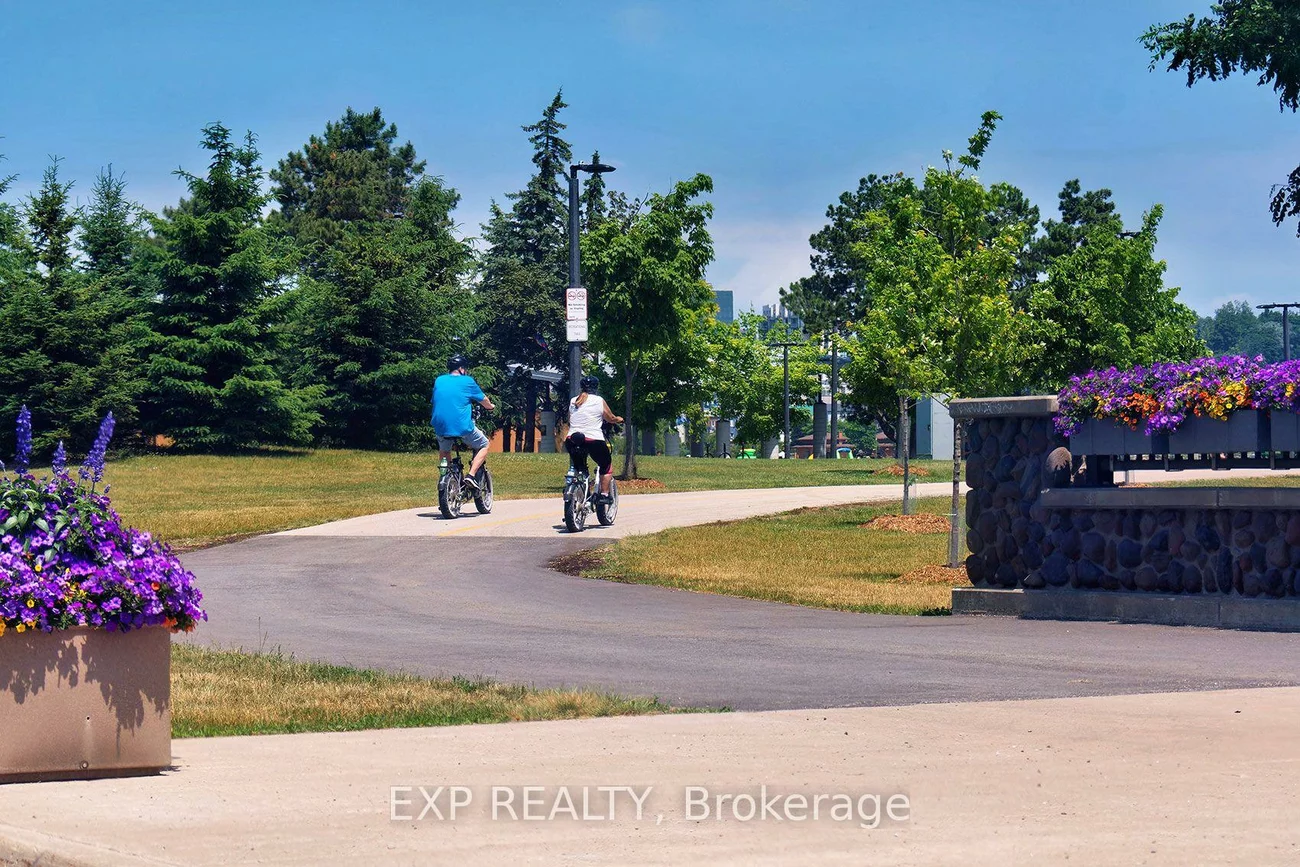 28, Alexander, Codrington, Barrie