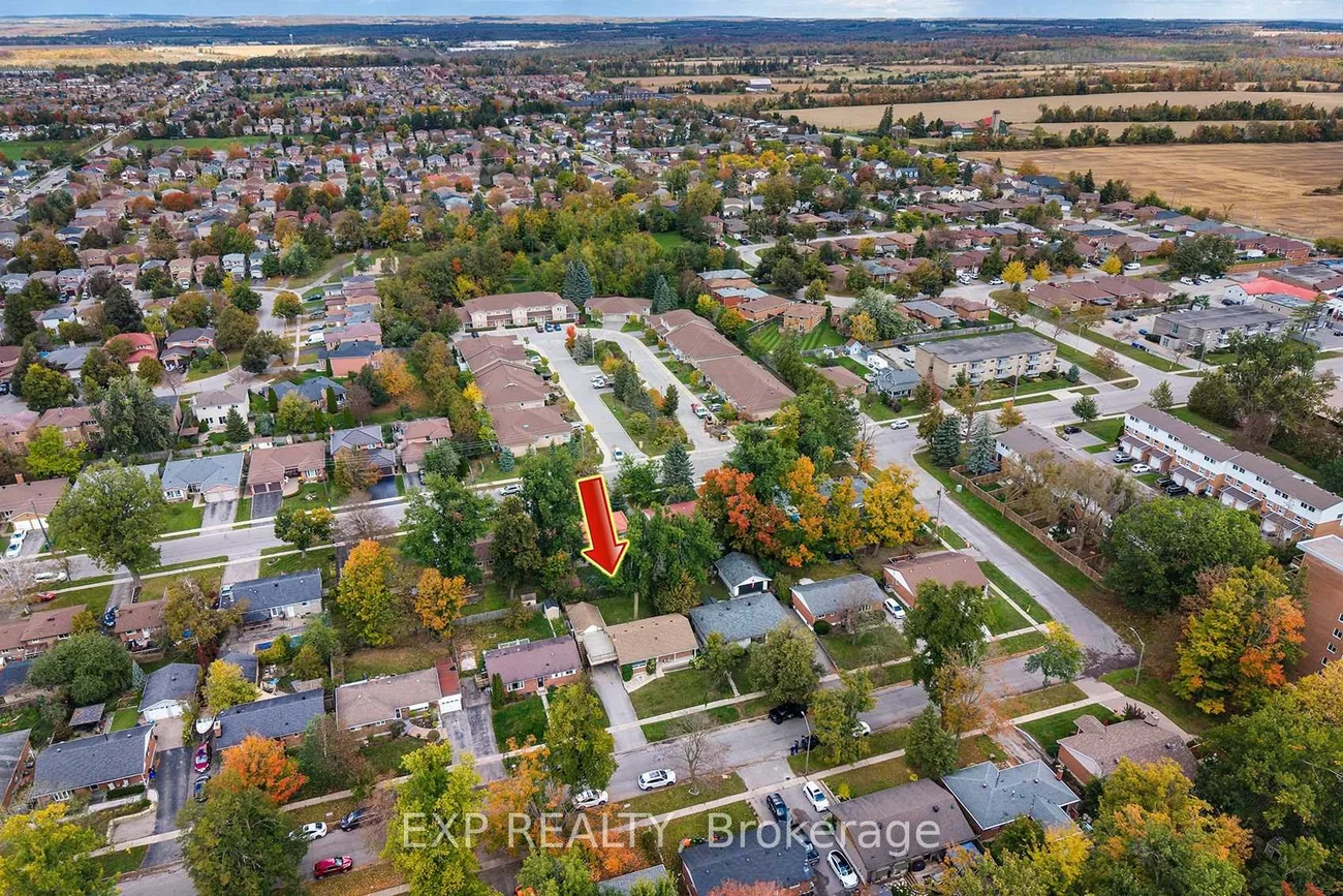 28, Alexander, Codrington, Barrie