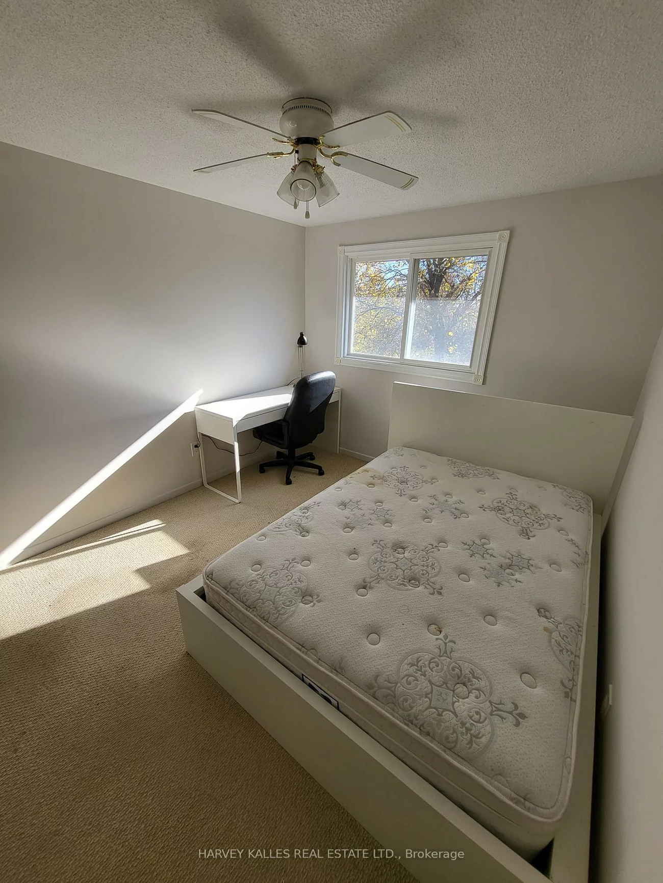 36, Cambridge, Bradford, Bradford West Gwillimbury