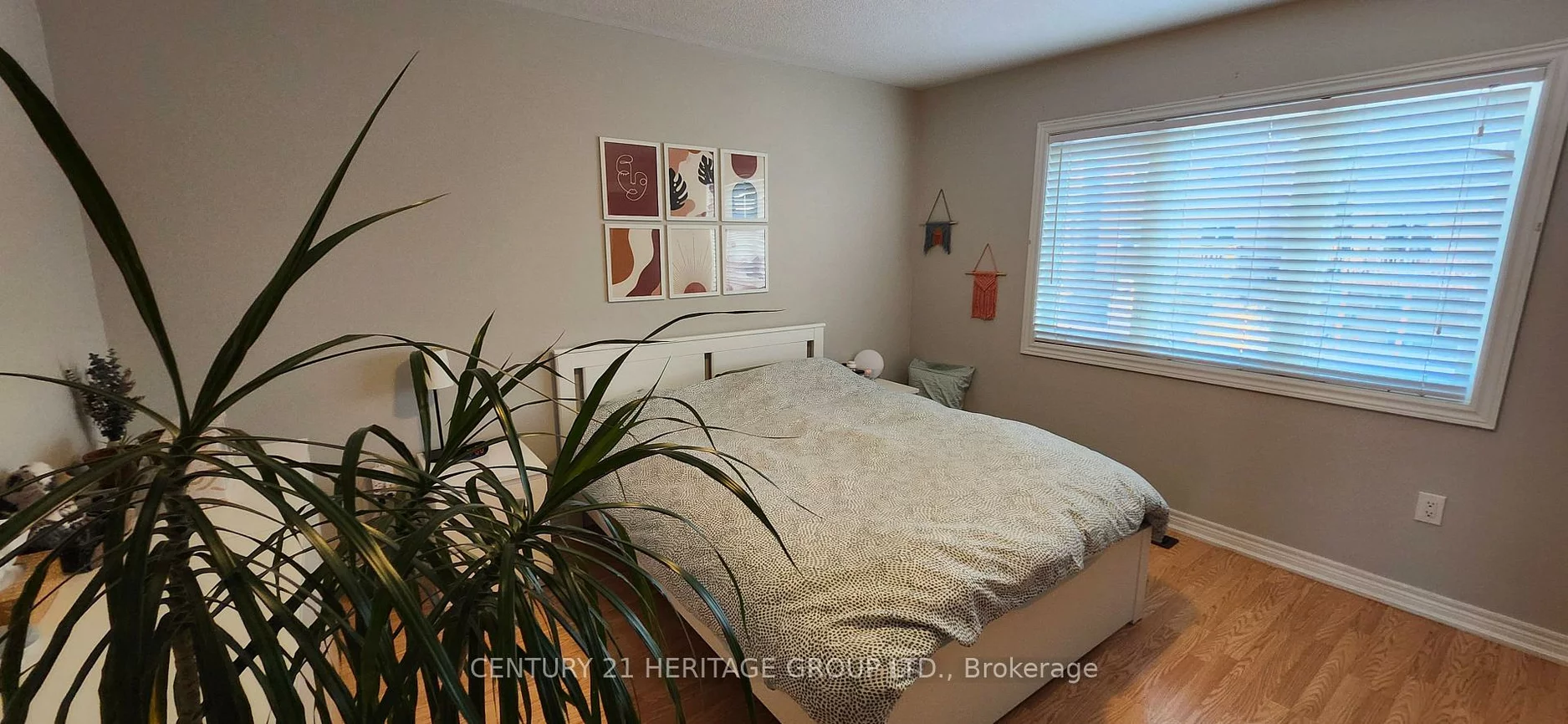 21, Matthewson, Bradford, Bradford West Gwillimbury