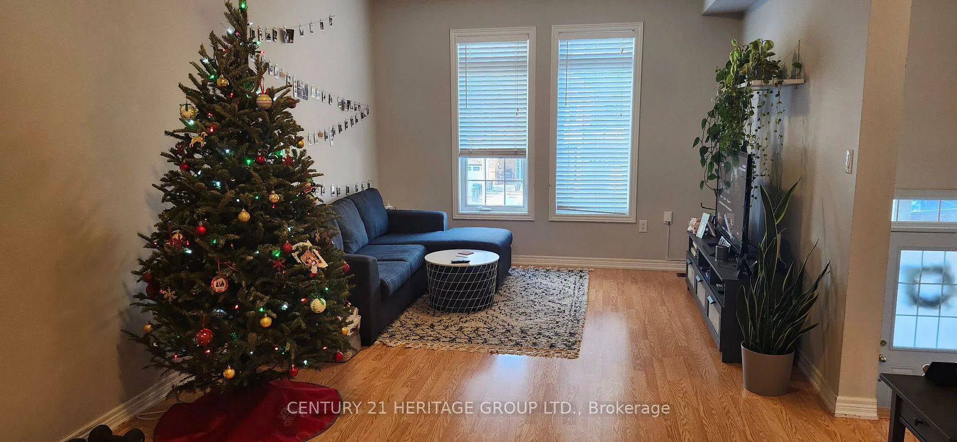 21, Matthewson, Bradford, Bradford West Gwillimbury