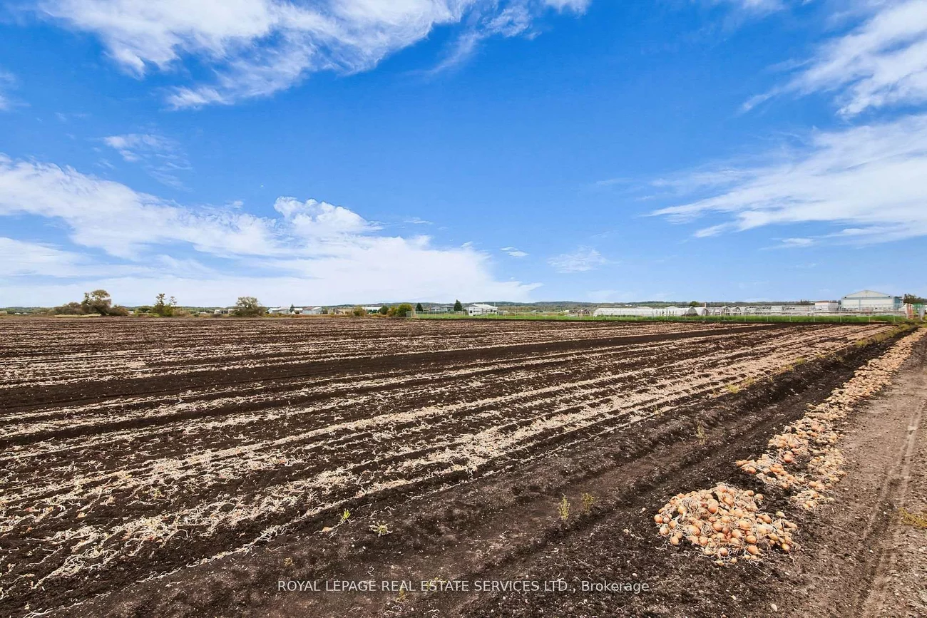 197, Wanda, Rural Bradford West Gwillimbury, Bradford West Gwillimbury