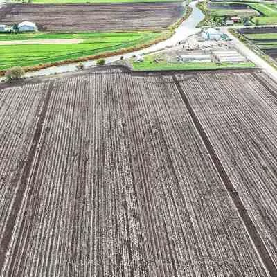197, Wanda, Rural Bradford West Gwillimbury, Bradford West Gwillimbury
