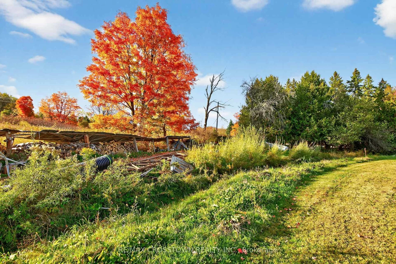 3971, 12th, Rural Bradford West Gwillimbury, Bradford West Gwillimbury