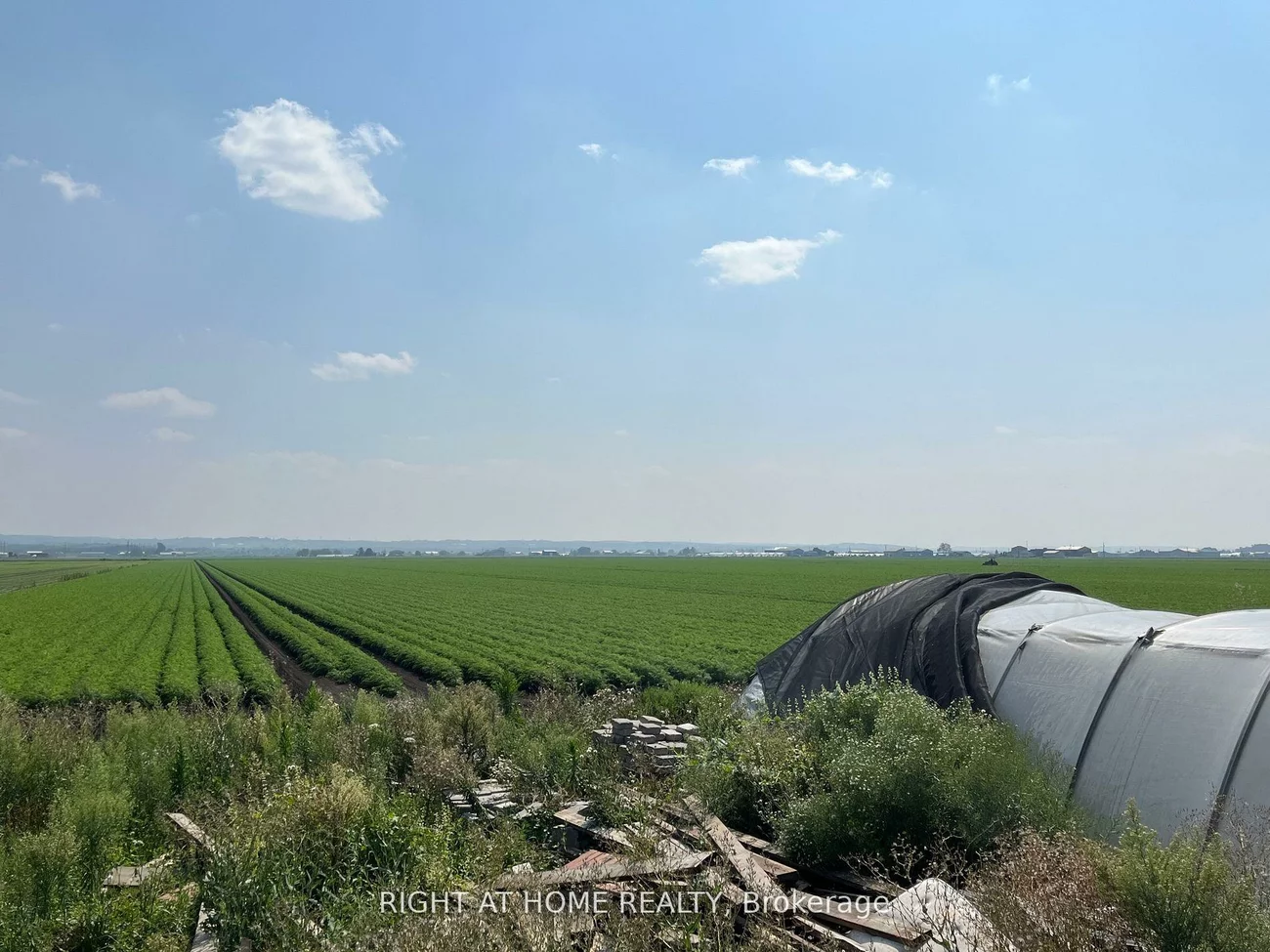 2643, Line 5, Rural Bradford West Gwillimbury, Bradford West Gwillimbury