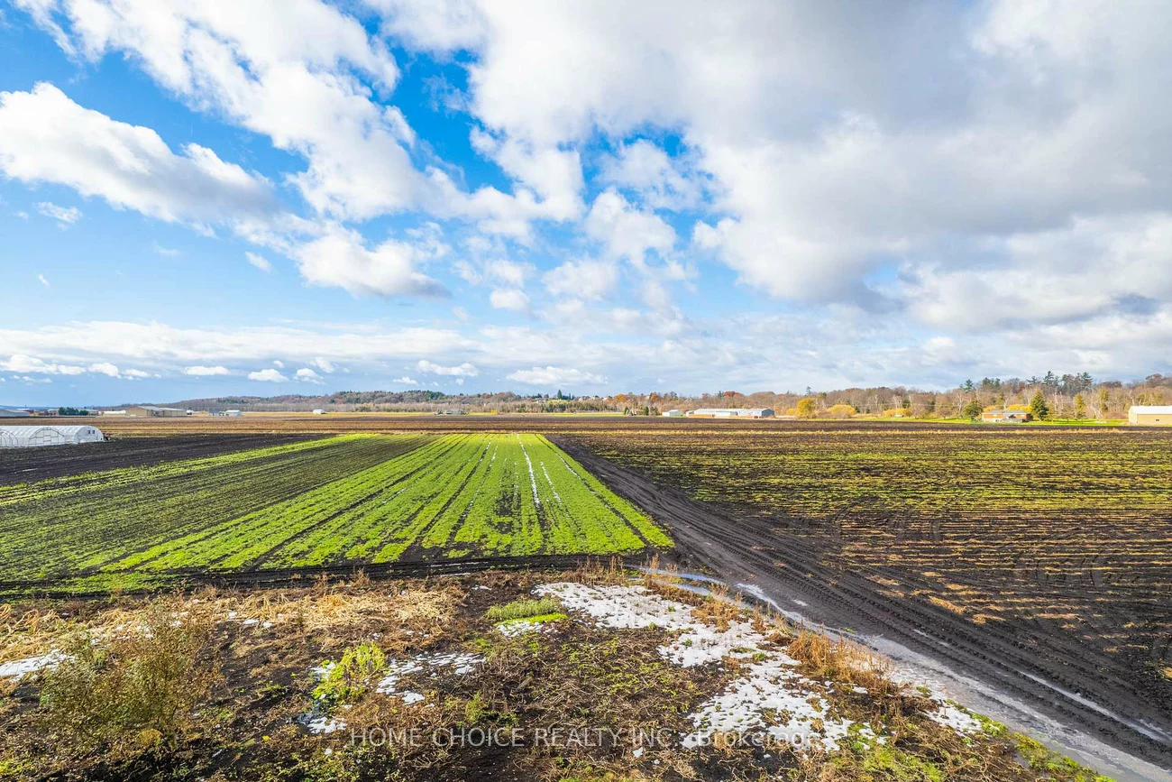 144, Fraser, Rural Bradford West Gwillimbury, Bradford West Gwillimbury