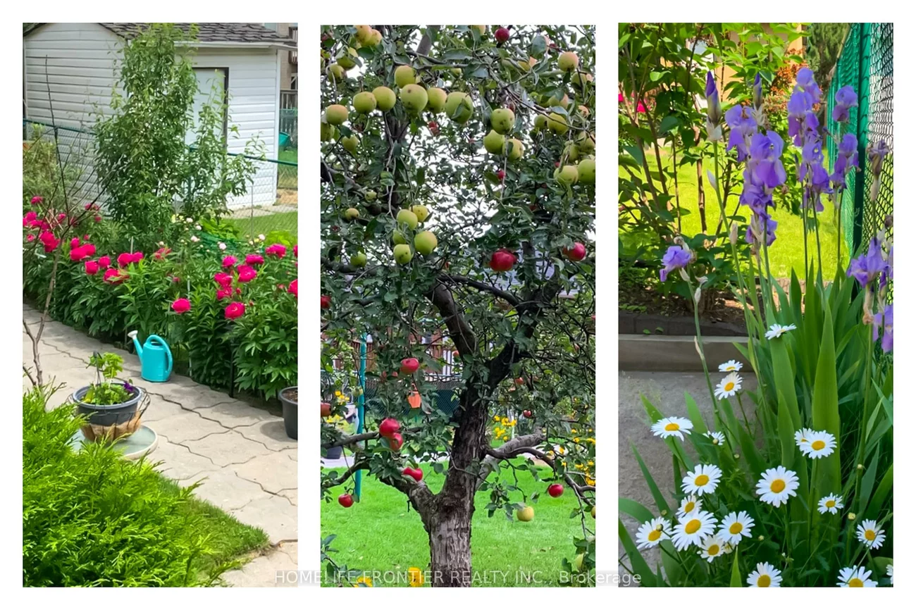 30, Saint, Bradford, Bradford West Gwillimbury