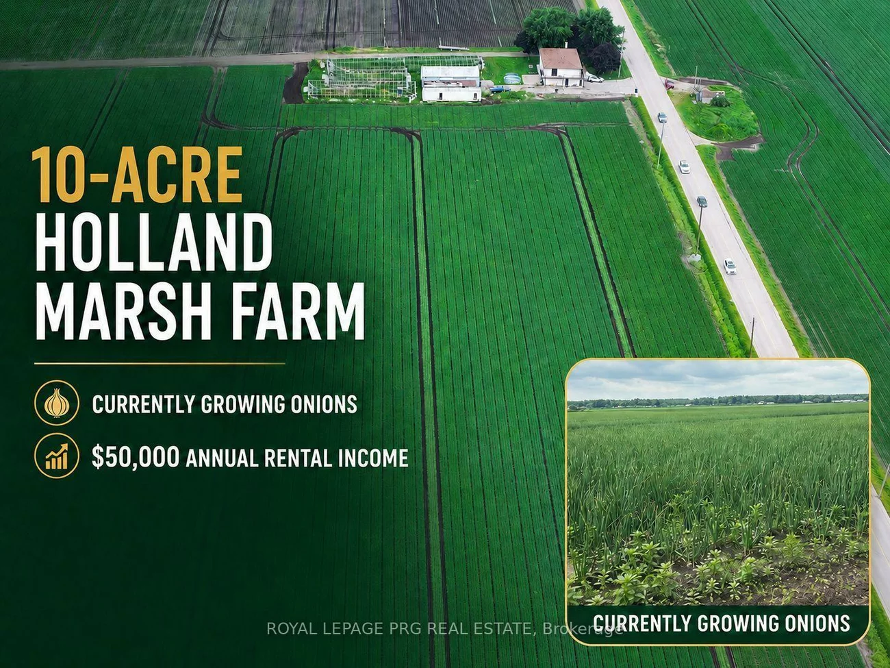 1160, River Rd, Rural Bradford West Gwillimbury, Bradford West Gwillimbury