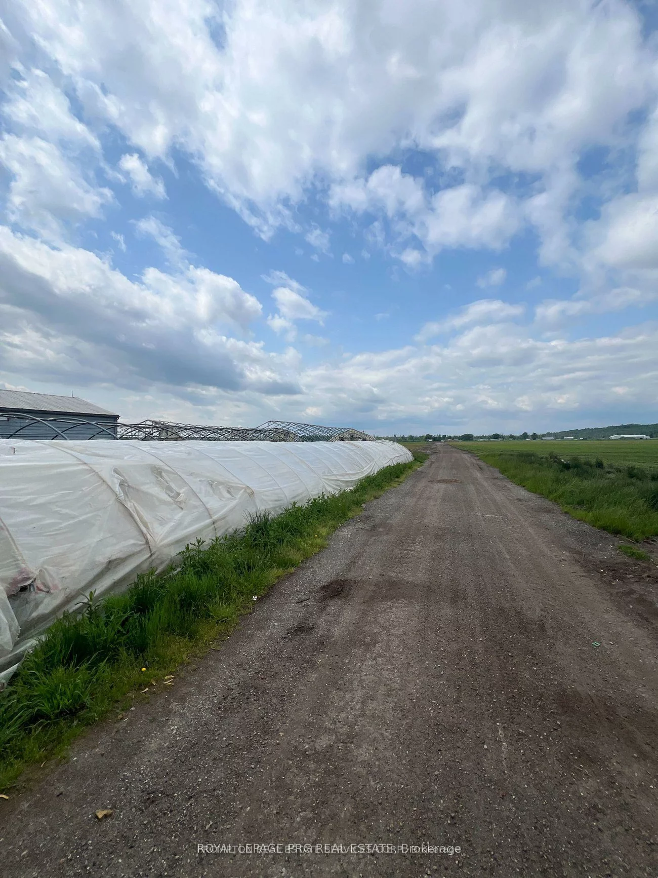 1160, River Rd, Rural Bradford West Gwillimbury, Bradford West Gwillimbury