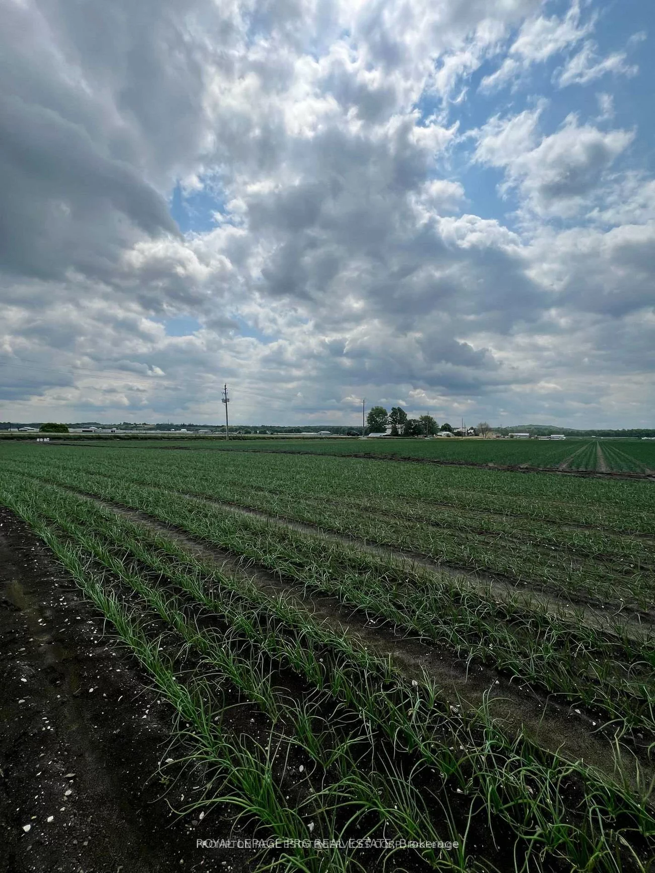 1160, River Rd, Rural Bradford West Gwillimbury, Bradford West Gwillimbury