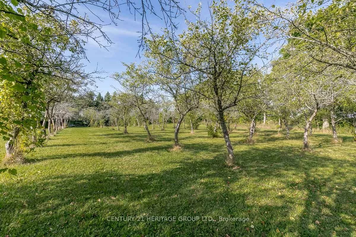 3515, Sideroad 10, Bradford, Bradford West Gwillimbury