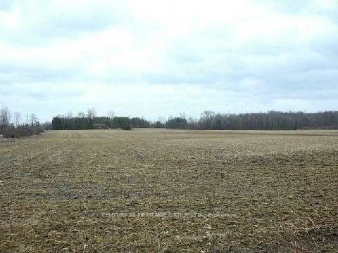 3329, 11, Rural Bradford West Gwillimbury, Bradford West Gwillimbury
