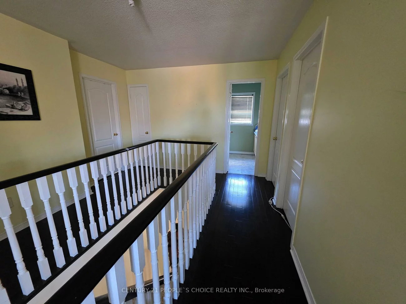 11, Citronella, Sandringham-Wellington, Brampton