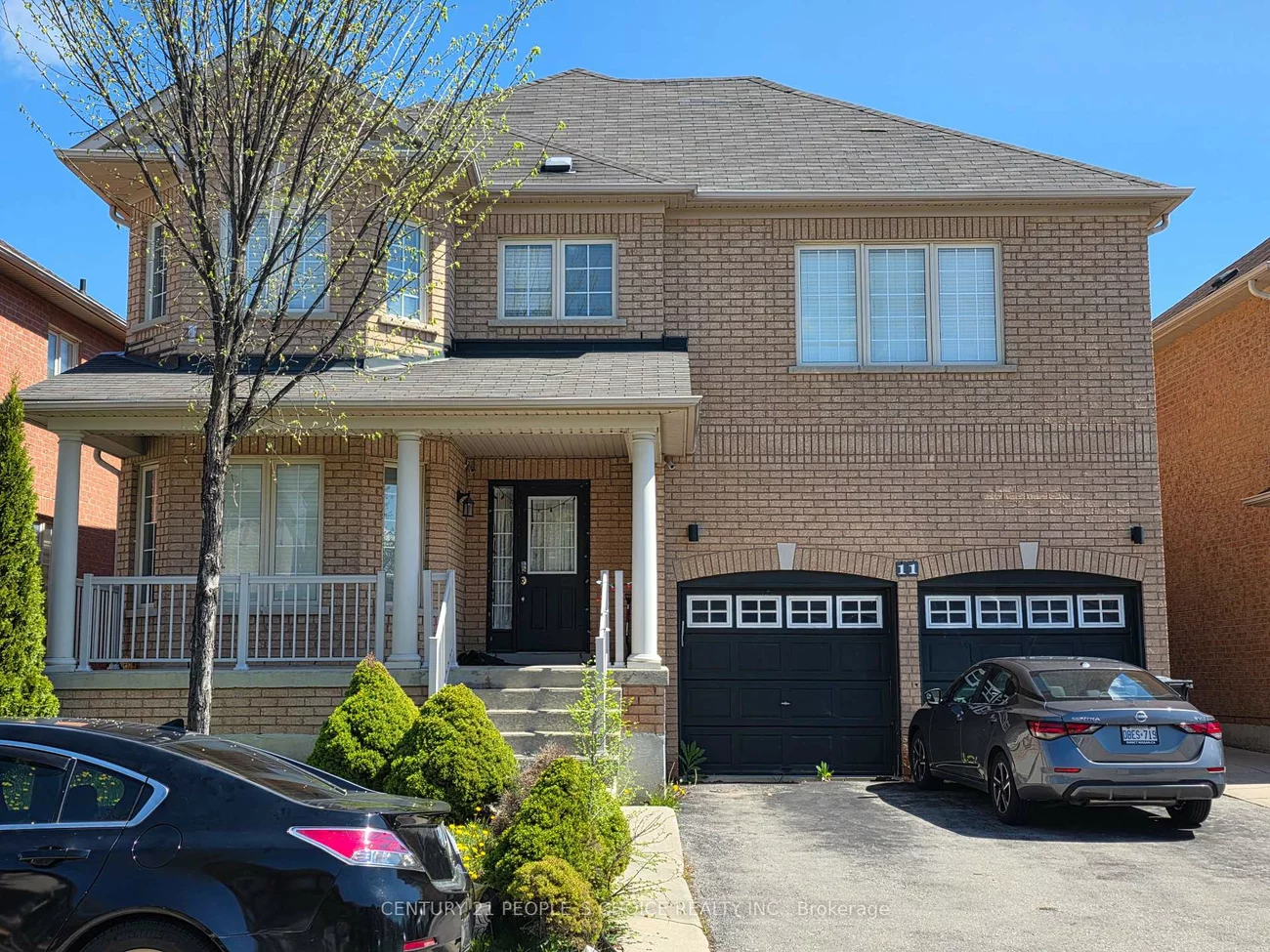 11, Citronella, Sandringham-Wellington, Brampton