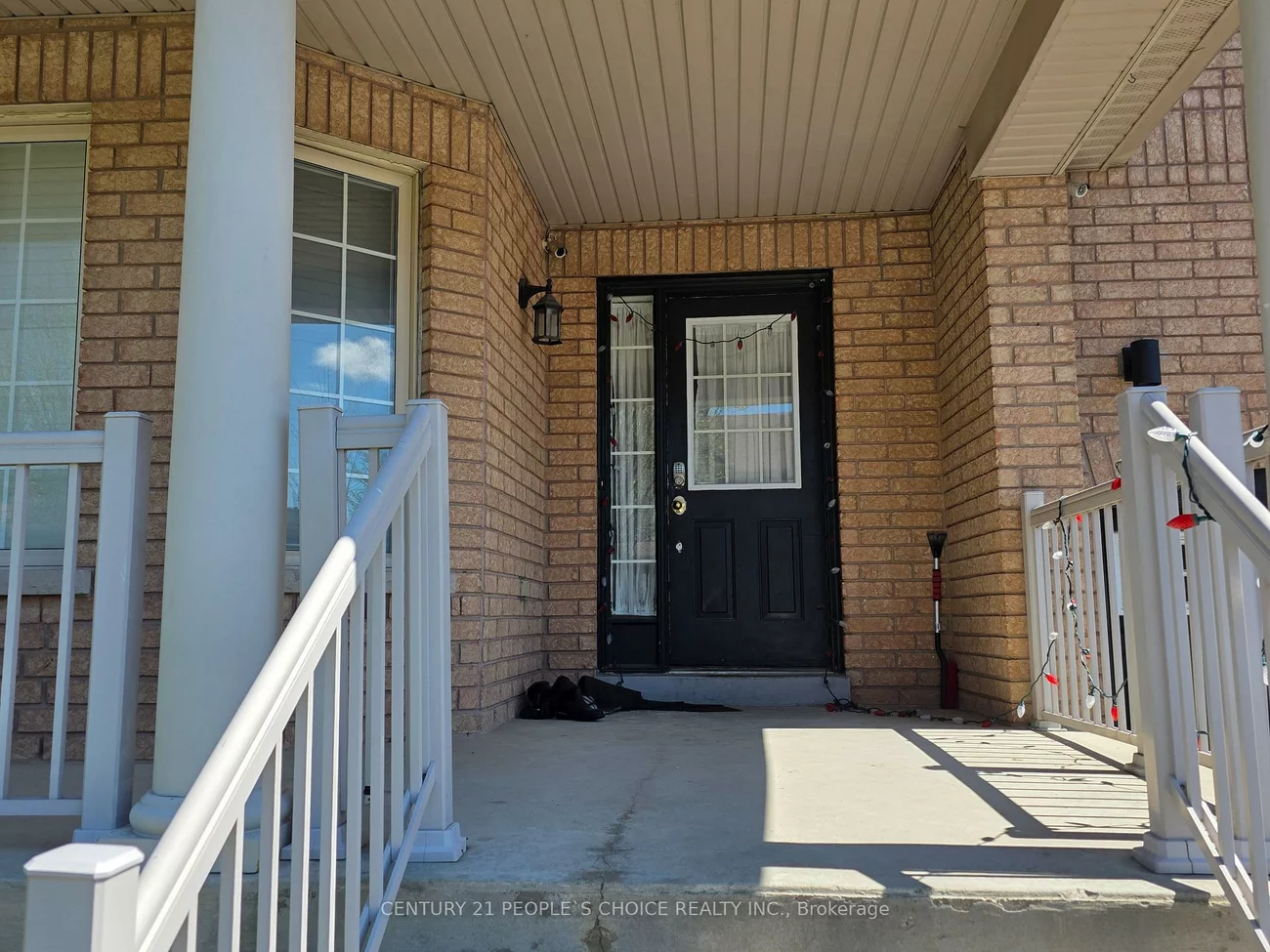 11, Citronella, Sandringham-Wellington, Brampton