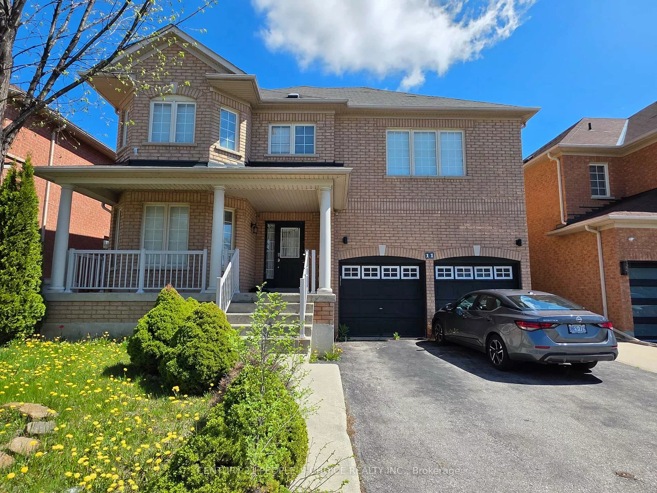 11, Citronella, Sandringham-Wellington, Brampton