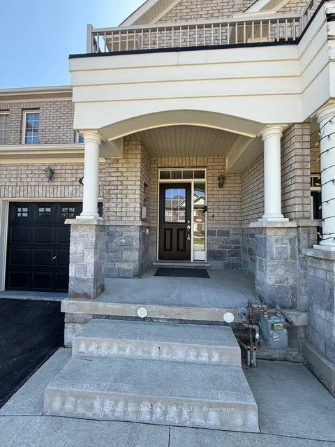 48, Pendulum, Sandringham-Wellington, Brampton