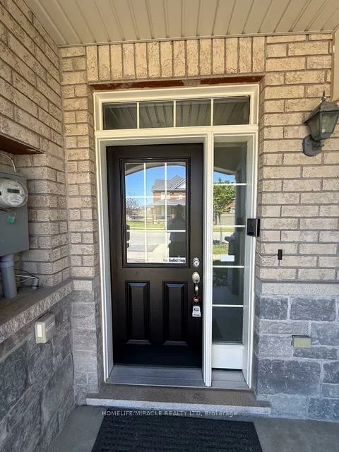 48, Pendulum, Sandringham-Wellington, Brampton