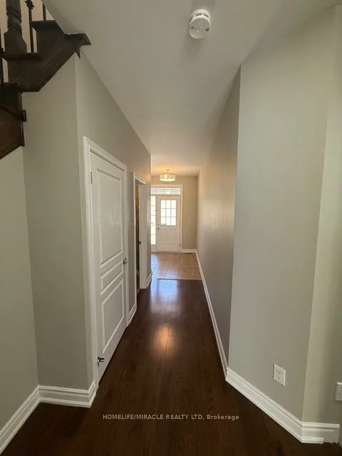 48, Pendulum, Sandringham-Wellington, Brampton
