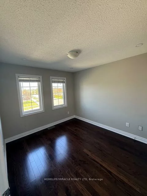 48, Pendulum, Sandringham-Wellington, Brampton