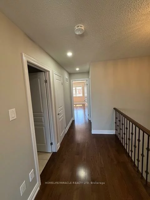 48, Pendulum, Sandringham-Wellington, Brampton
