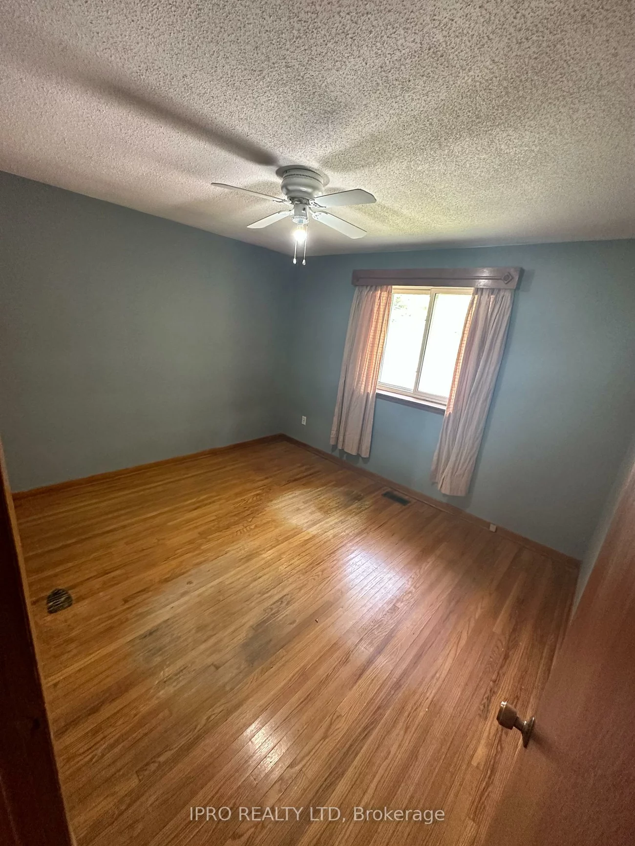 31, Aloma, Avondale, Brampton