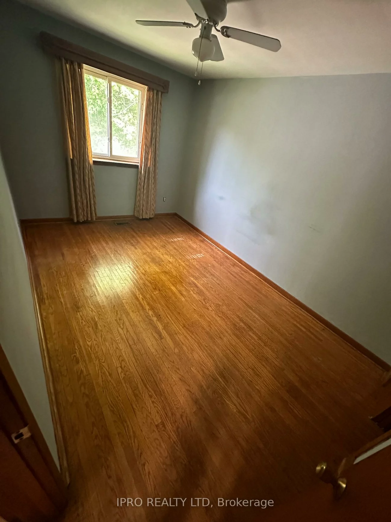 31, Aloma, Avondale, Brampton