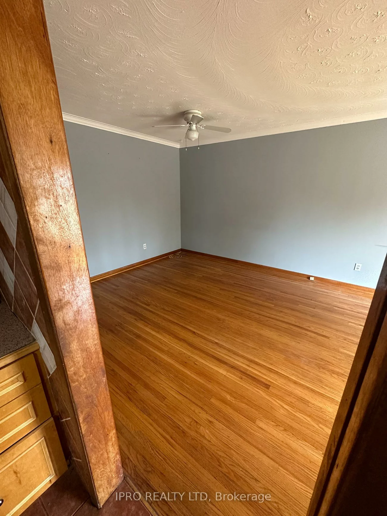 31, Aloma, Avondale, Brampton