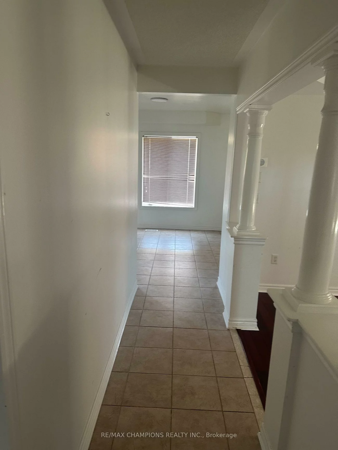 45, Rattlesnake, Sandringham-Wellington, Brampton