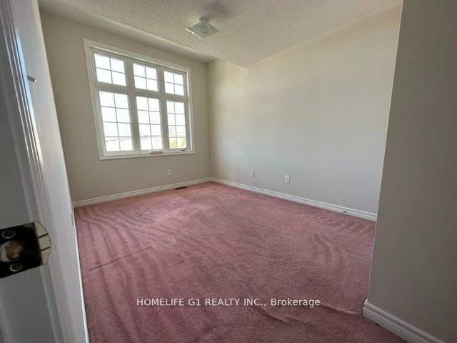 8, Caversham (upper level), Sandringham-Wellington, Brampton