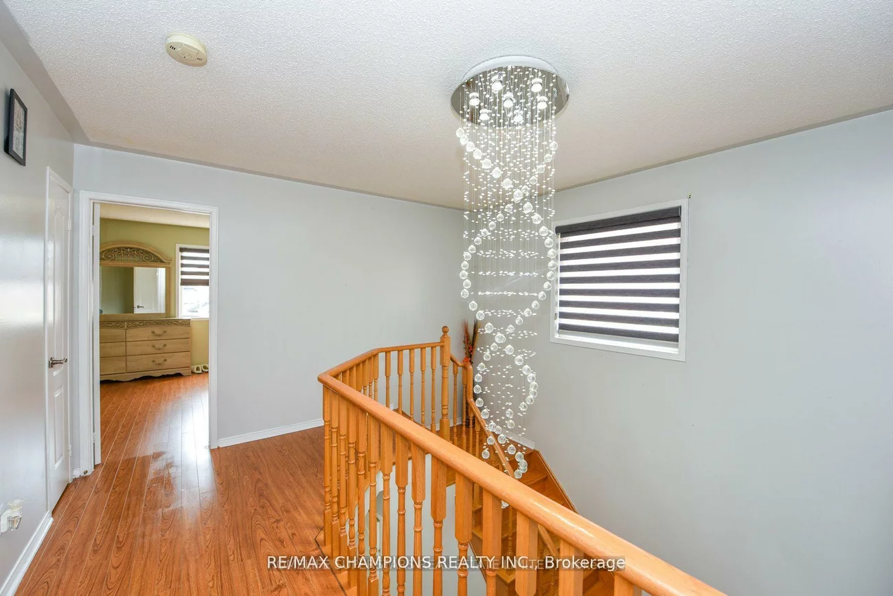 30, Feather Reed, Sandringham-Wellington, Brampton